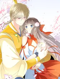 第九号书房